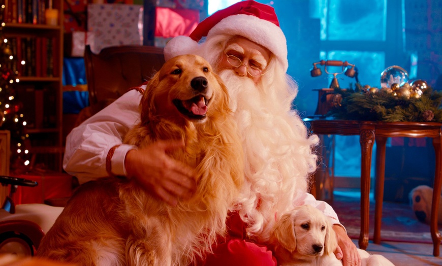 Image 11: Santa HD Video, Call & Premium Letter—Personalised magic in 60 mins!