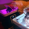 Image 1: Ginger Therapy and Bodywork Session Package