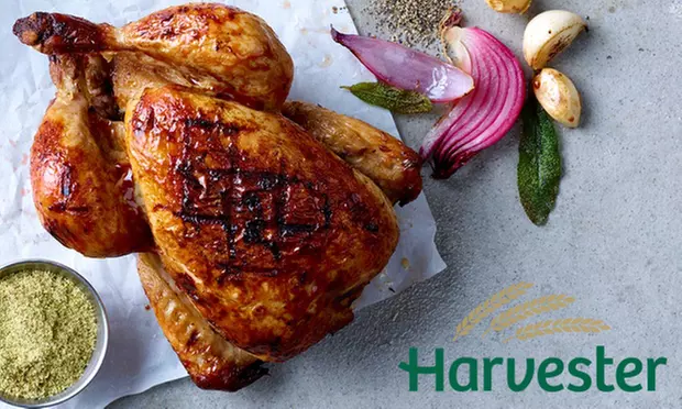 Choice of Main Course with Drink and Unlimited Salad at Harvester, Nationwide (Up to 24% Off) - Primary Image