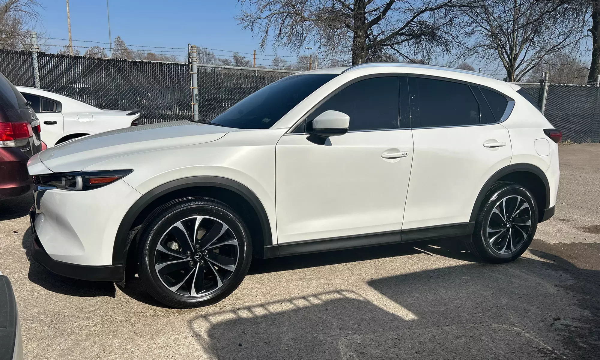 Easy's Full Detail, Interior Cleaning, Head Light Tint or Full Tint!