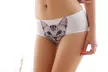 Lot de 3 ou 6 culottes imprimées chat - Second Medium