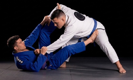 2 Weeks Adult Jiu Jitsu Classes - Alpha MMA & Jiu-Jitsu Port Chester