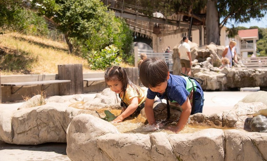 Image 2: Bay Area Discovery Museum – Play-Based Learning at Golden Gate