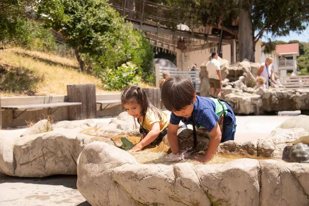 Bay Area Discovery Museum – Play-Based Learning at Golden Gate