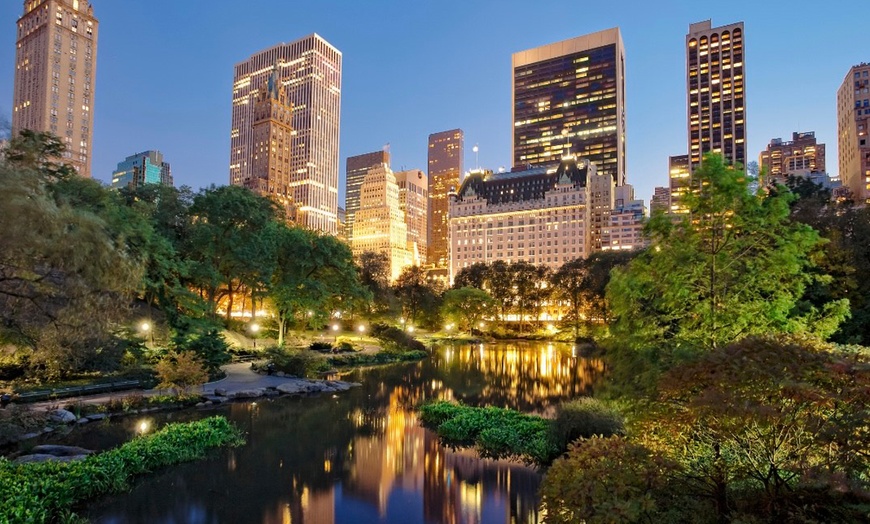 Image 4: Central Park Tours: Mini, VIP, Night, Moonlight, & More - Up to 4 