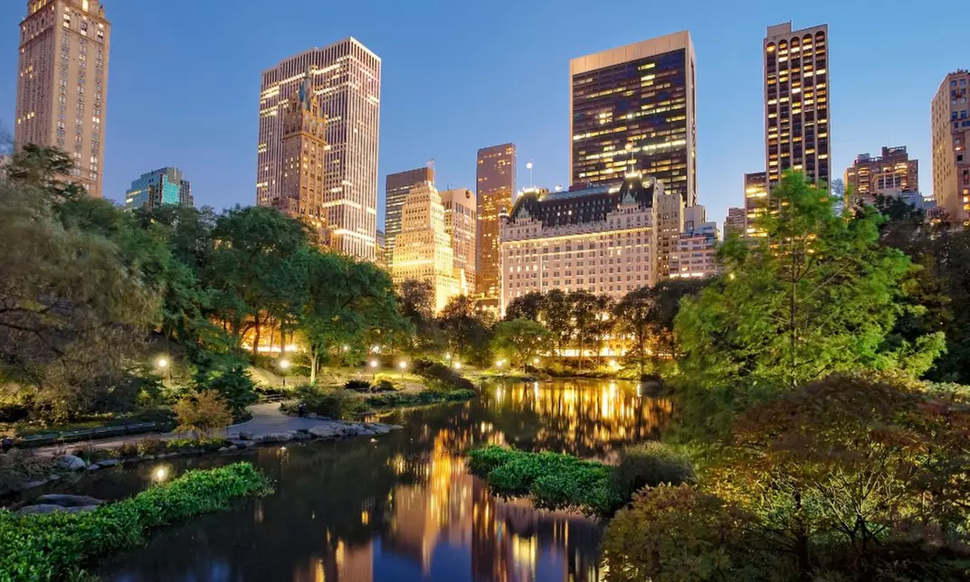 Central Park Tours: Mini, VIP, Night, Moonlight, & More - Up to 4 