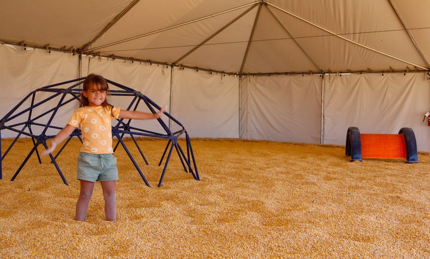 Image 7: The Desert Fall Festival (September 26 - November 1)