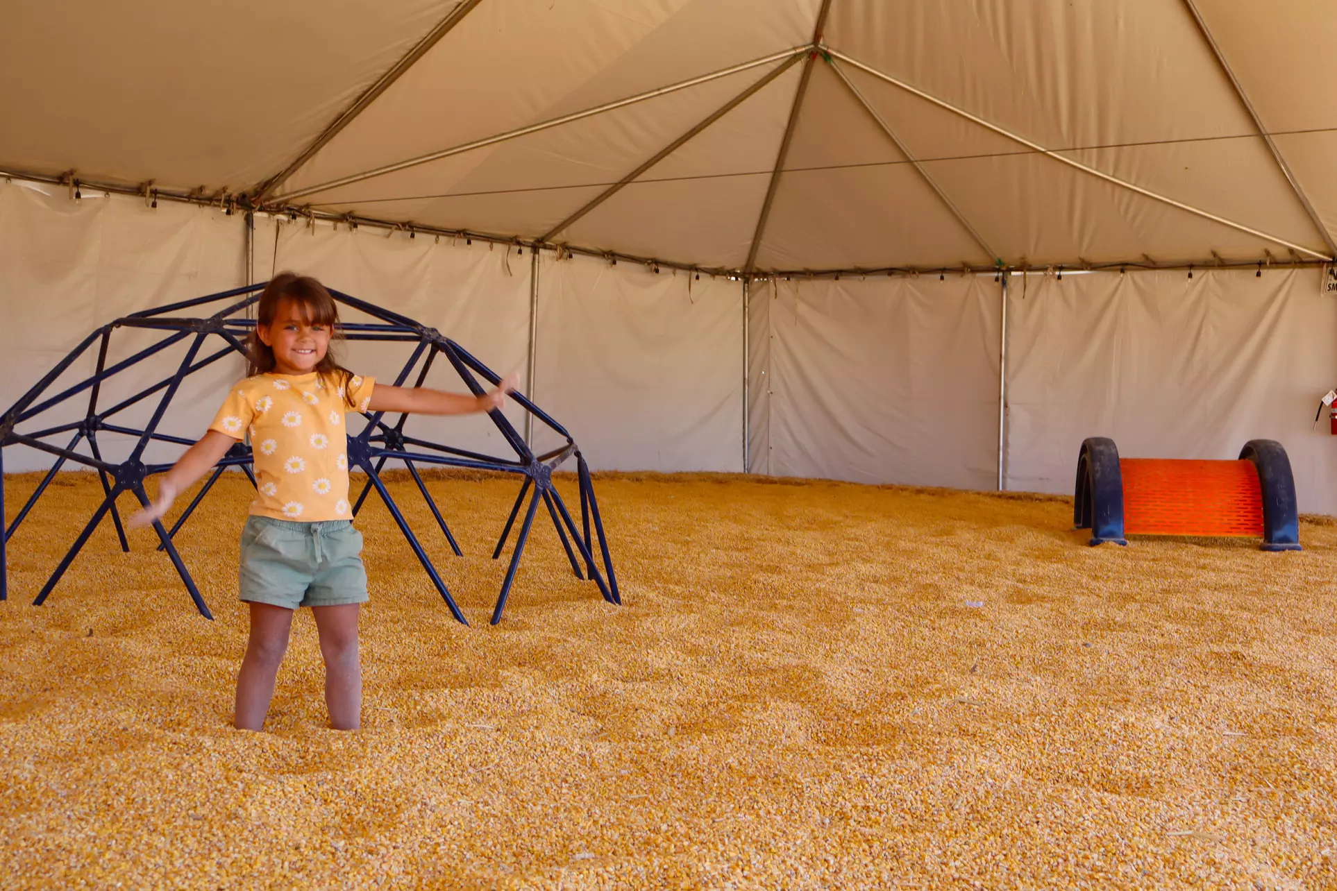 The Desert Fall Festival (September 26 - November 1)