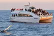 Enjoy Scenic Whale And Dolphin Watching or Harbor Tours in Long Beach or San Pedro: Harbor Breeze (Up to 50% Off) - Second Medium