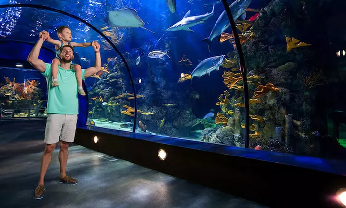 Explore Galveston Island's Moody Gardens: Discover Pyramids, Beach Fun, & Thrilling Ropes Course