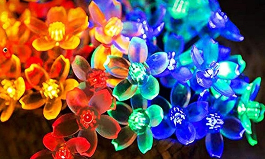 Image 18: 50 LED Multi-Coloured Solar Cherry Blossom Lights Options