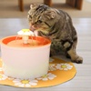 Automatic Pet Drinking Fountain
