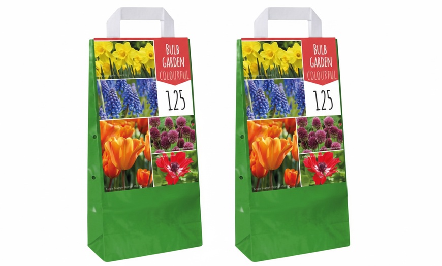 Image 9: 125 o 250 mix di bulbi colorati