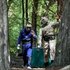 Image 11: Half-Day Paintball- Groups of 5, 10, or 15 with 100 Paintballs Each!