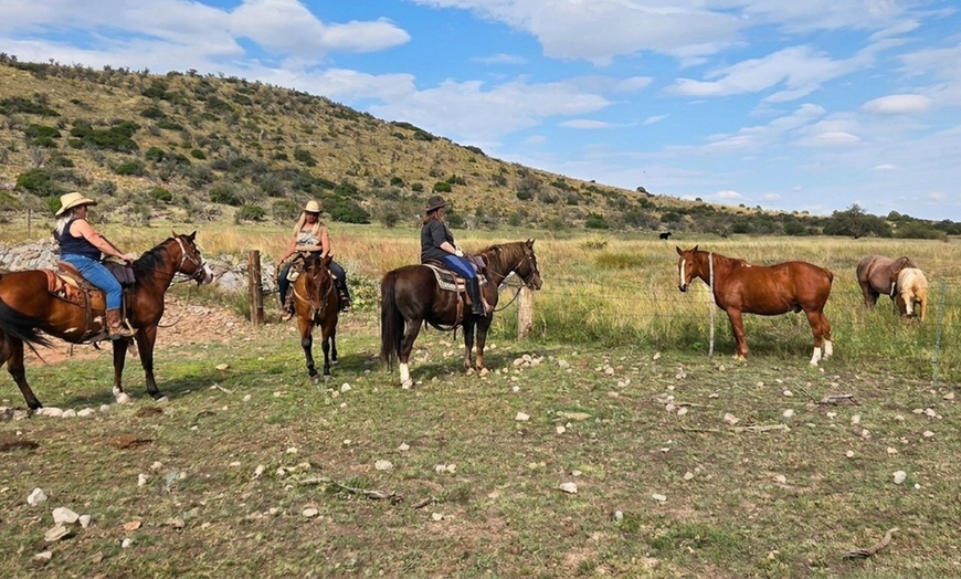 Image 6: Scenic Trail Rides at Double R Ranch – All Skill Levels Welcome