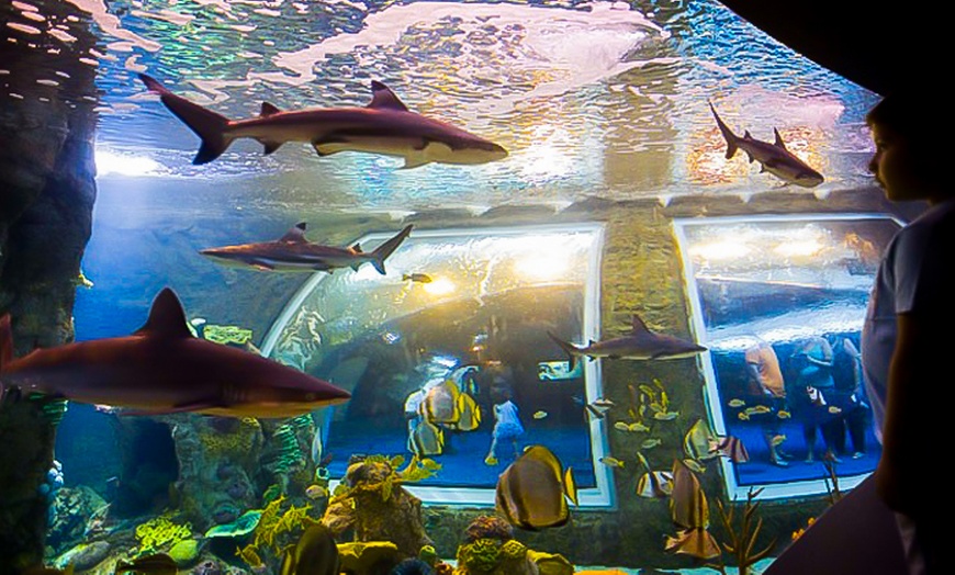 Image 5: Granada: 1 o 2 noches con desayuno y entrada al Parque de las Ciencias