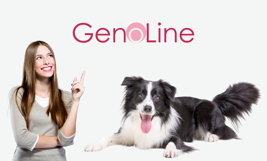 Image 2: GenoLine-Premium-Testkits mit Wertgutschein kaufen