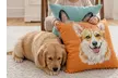 One Personalized Pet Portrait Pillow with a Lovely Pet Illustration from Justyling (78% Off) - Image 5