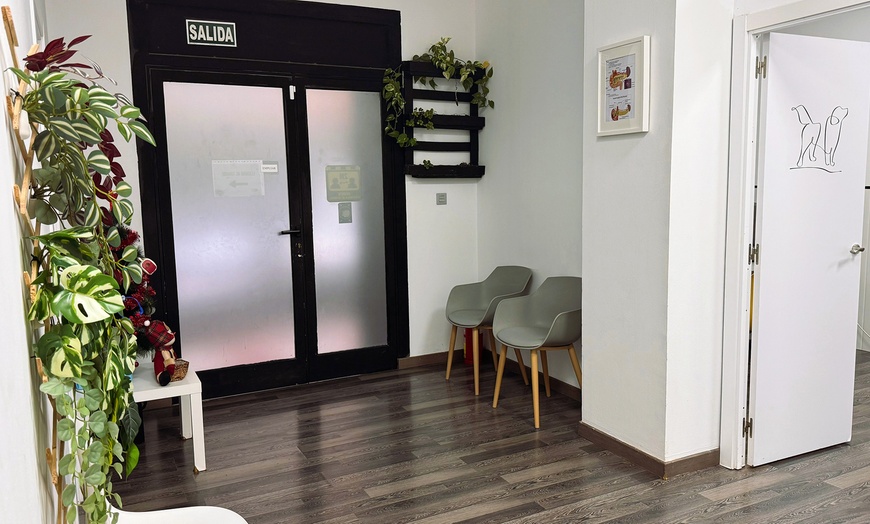 Image 2: ¡Cuida a tu mascota! Esterilización para perro macho, gato o gata 