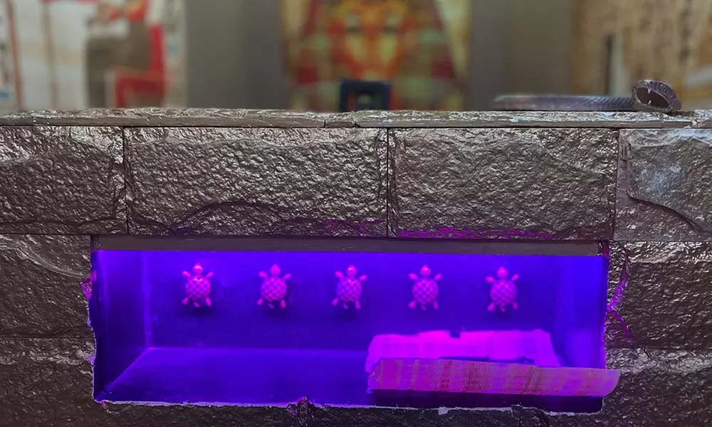 Bis zu 43% Rabatt auf den Room Escape Game bei Shangrila Arena