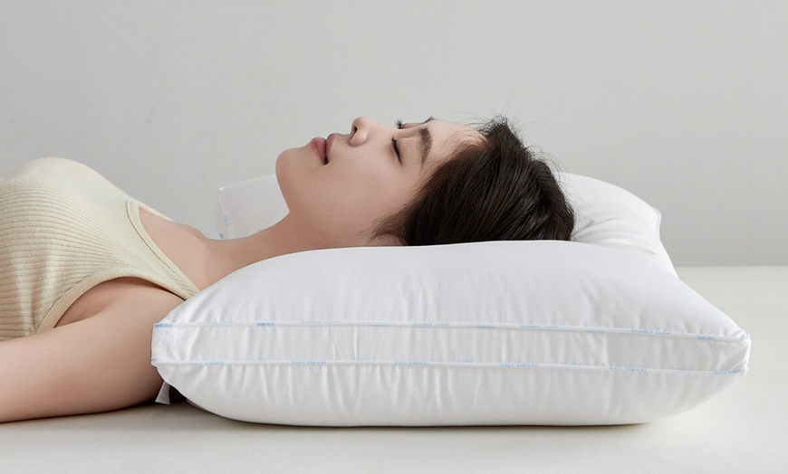 Image 4: Pure Cotton Luxury Hotel Pillow Duo
