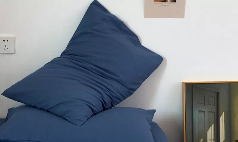 Pure Cotton 2 Piece Pillowcase Set