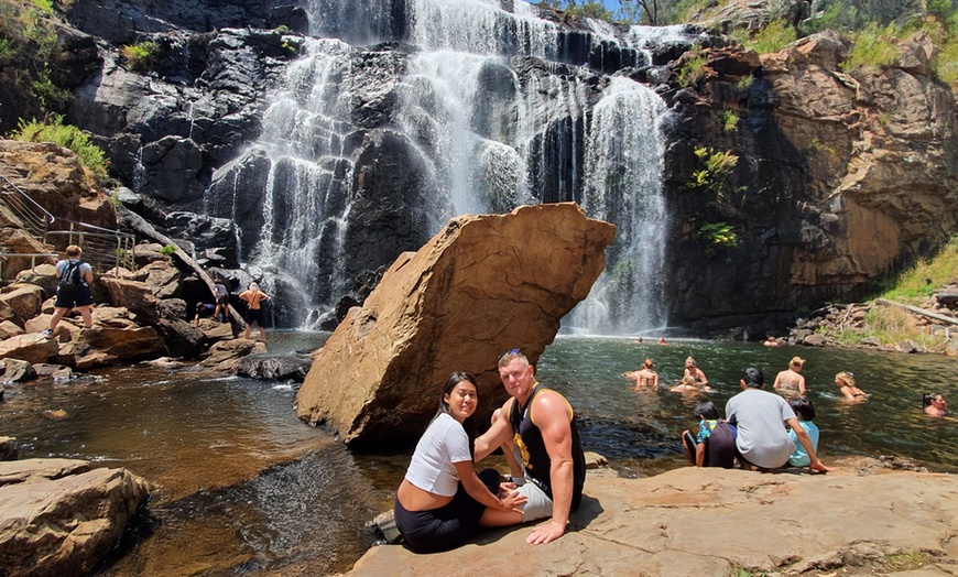 Image 4: Great Ocean Road or Phillip Island Penguin & Koala Day Guided Day Tour