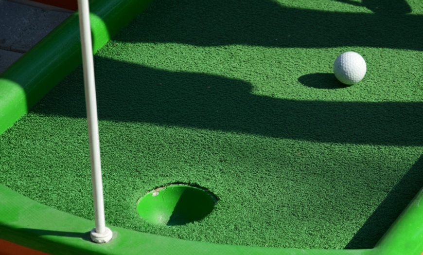 Image 2: Master Mini Golf and Safety Skills with Online Courses