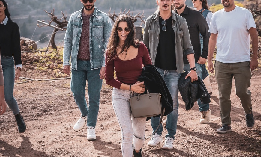 Image 17: Menú de comida con visita a bodega y cata de vinos para 1 o 2 personas