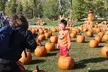 Halloween BooFest: 4 Admissions, Exciting Ride Bands and Unlimited Halloween Fun at Wizard World Toronto - Second Medium