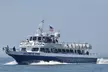Ocean thrills await! Experience The Starlight Fleet’s Whale, Dolphin and Bird Watching Tours (Up to 30% Off)   - Second Medium
