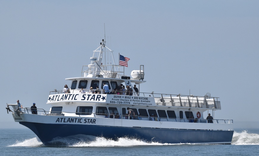 Image 3: Up to 35% Off Whale and Dolphin Watching at Starlight Fleet