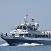 Image 3: Up to 30% Off Whale and Dolphin Watching at Starlight Fleet
