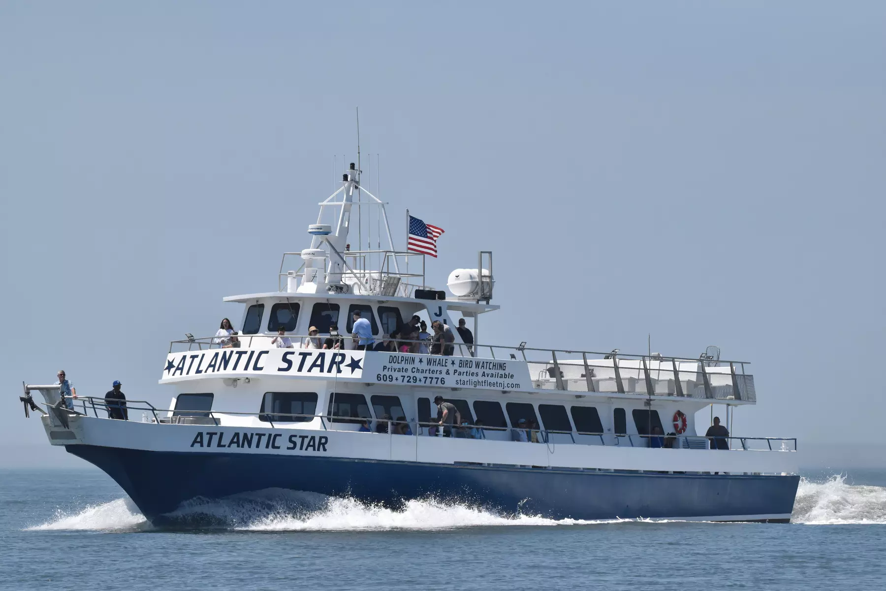 Fun and Scenic Dolphin and Bird-Watching Tours Await All Adventurers