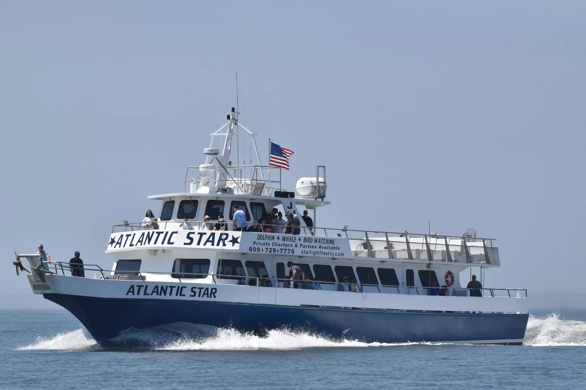 Up to 30% Off Whale and Dolphin Watching at Starlight Fleet