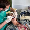 Image 1: Limpieza dental con radiografía y opción a eliminación de manchas  