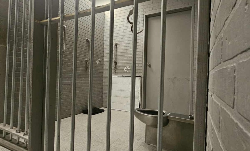 Image 10: Escape Room Admission for Four, Six or Ten at San Antonio Panic Room