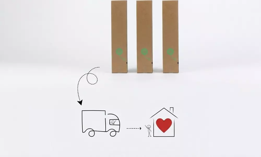 3er- oder 6er-Set Schirmbambus