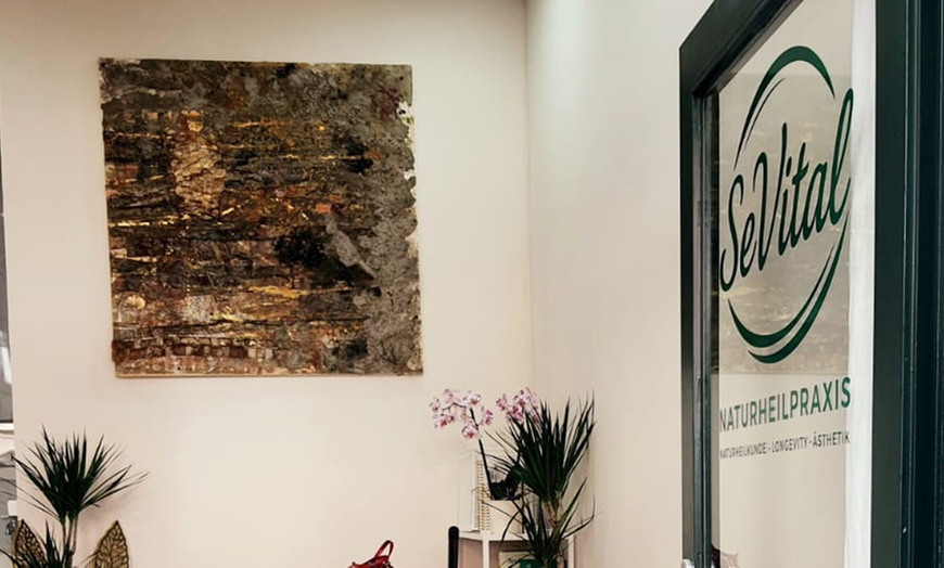 Image 3: 1 - 6 Cold-Plasma-Gesichtsbehandlungen für 1 Person