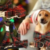 Image 5: Grab paw-some Custom Pet Collars for your furry buddies