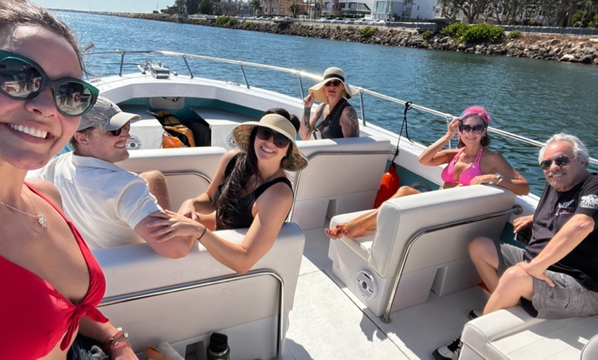 Image 10: Discover Marine Wonders on a Fast-paced Sea Safari
