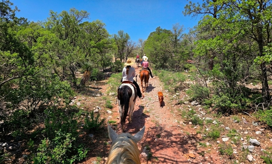 Image 8: Scenic Trail Rides at Double R Ranch – All Skill Levels Welcome