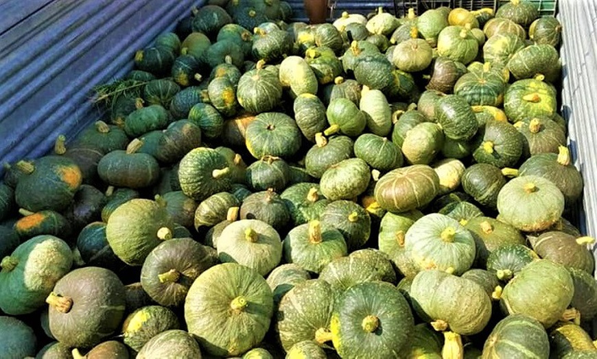 Image 15: Degustazione vini, salumi e formaggi da Azienda agricola Paoletti