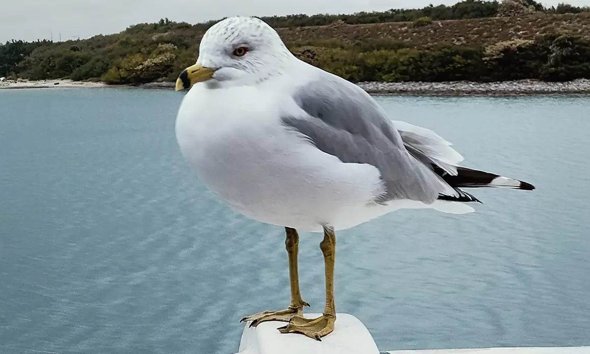 Casino Cruise Deals: Up to 45% Off