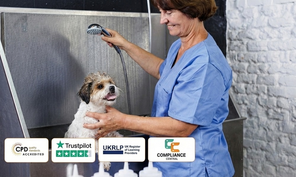 Dog Cleaning Online Course, Lifetime Access to 2200+ Courses & More