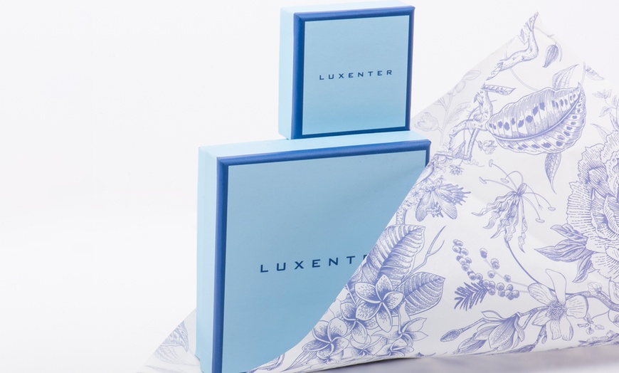 Image 4: Bracelet Luxenter fini rhodié, modèle "Irulox"