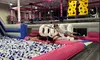 Get a 60, or 120-Min Jump Pass for 1, 2, or 4 Persons Valid Any Day at Catapult Adventure Park - Up to 60% off
