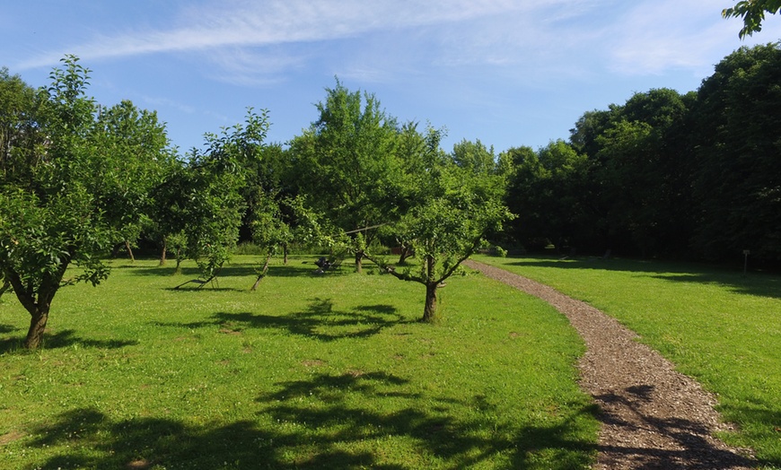 Image 21: Teutoburger Wald: 4 Nächte mit Verpflegung und Yoga-Seminar