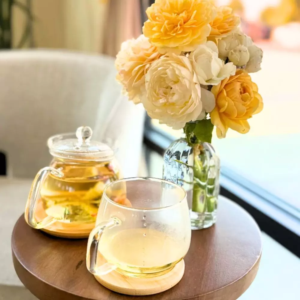 Luxury Head Spa Packages for One, Couples, or Groups of 4