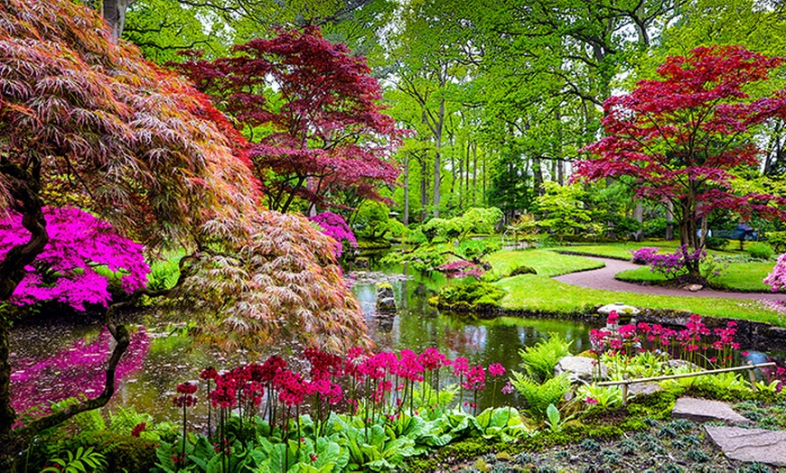 Image 1: International Garden Design Diploma plus Certificate, Flexible&Online!